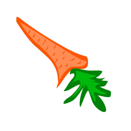 carrot. Doodle illustration of carrots. Image for postcards and scrapbookingの写真素材