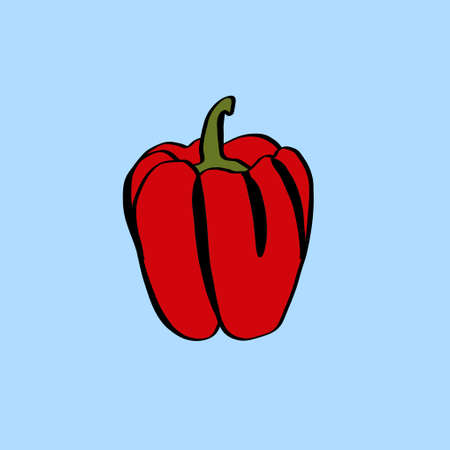 A simple doodle illustration of bright juicy sweet pepper. Sweet Bulgarian pepperの写真素材