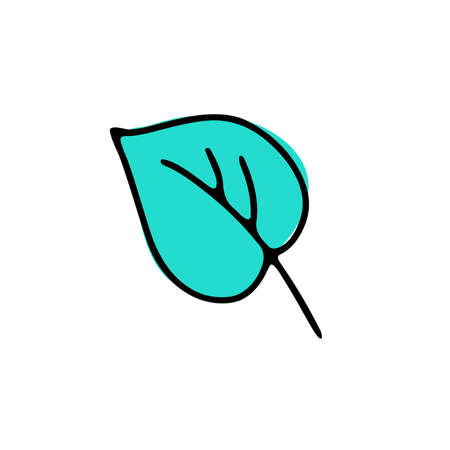 Doodle delicate leaf. Hand-drawn cute green plant isolated on white background. Herb sign. Vector floral illustration for interior, gardening, holiday, wedding. Minimalistic eco botanical posterのイラスト素材