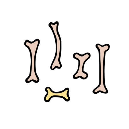 Doodle Halloween bones set. Color Skeleton isolated on white background. Hand-drawn cute scary os. Mystical sketch sign. Vector illustration for spooky autumn holidays, prints, The day of the Deadのイラスト素材