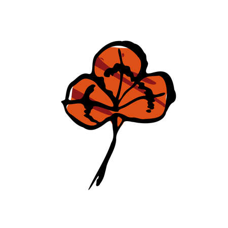 Autumn sketch color clover leaf. Hand-drawn line texture herb on white background. Doodle graphic plant. Nature, forest, St. Patricks Day sign. Carved inked leaf. Vector botanical season illustrationのイラスト素材