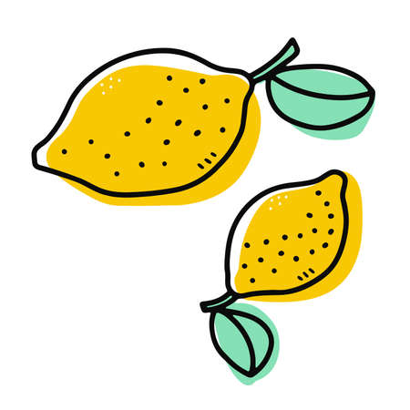 Doodle yellow lemon. Hand-drawn citrus isolated on white background. Delicious cute fruit. Symbol of summer, wholesome nutrition, natural food. Ingredient for lemonade, juice menu. vector illustrationのイラスト素材