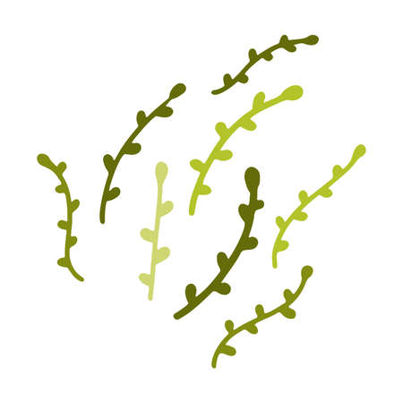 Doodle delicate green twigs. Hand-drawn cute plant branch isolated on white background. Herb with small leaves. Vector floral illustration for interior, gardening, holiday, wedding. botanical posterのイラスト素材