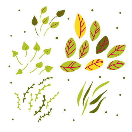 Doodle leaves set. Hand-drawn cute plant isolated on white background. Green leaf with pink veins. Herb summer sign. Vector floral illustration for interior, gardening, holiday. eco botanical posterのイラスト素材