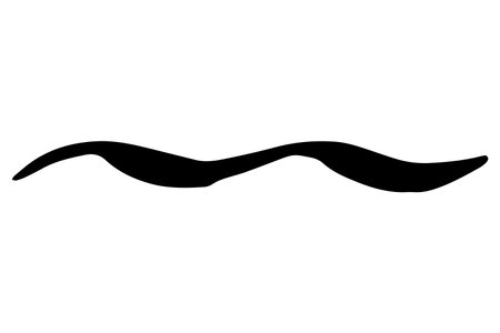 Vector doodle wave. Black tide brush stroke of paint isolated on white background. Hand-drawn plume illustration for summer print, clothes decoration. liner line image. Ornamental calligraphic stripのイラスト素材