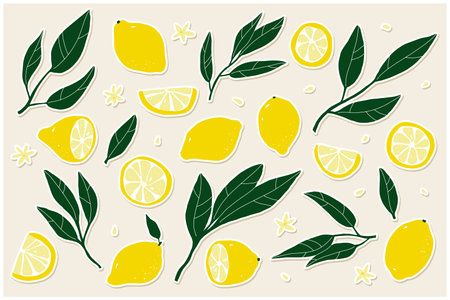 Lemon sticker set. Hand-drawn lemons on a beige background. Slice, halves, whole fruit, leaves, flowers, seeds. Cartoon citrus tropical collection. Healthy food sign. vector botanical illustrationのイラスト素材