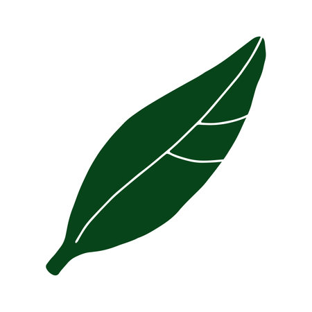 Doodle leaf image. Hand-drawn long plant isolated on white background. Green lemon leaf with veins. Herb summer sign. Vector floral illustration for interior, gardening, holiday. eco botanical posterのイラスト素材