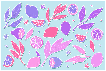 Lemon sticker set. Hand-drawn pink lemons on blue background. Slice, halves, whole fruit, leaves, flowers, seeds. Cartoon citrus tropical collection. Healthy food sign. Vector botanical illustrationのイラスト素材