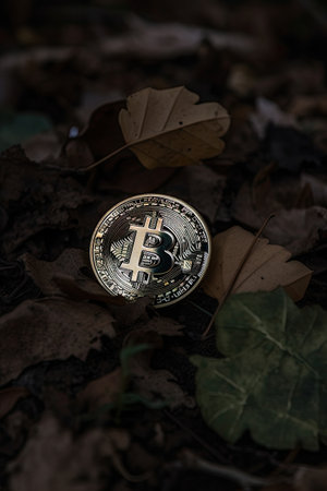 Golden bitcoin coin lies on dry leaves in the forest. Cryptocurrency concept.の素材