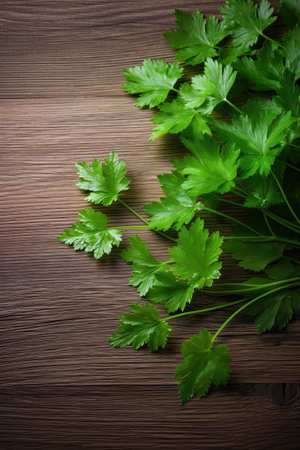 Fresh parsley on wooden background. Parsley on wooden table.の素材