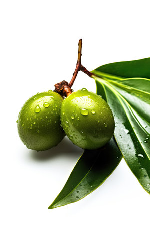 Indian jujube fruits with green leaves isolated on white background.の素材