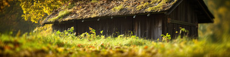 Old wooden cottage in the autumn forest. Panoramic image.の素材