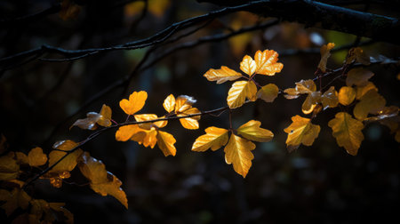 a branch with yellow leavesの素材