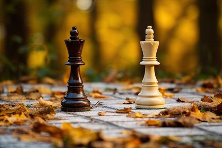 a chess pieces on a stone surfaceの素材