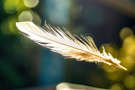 a feather with light shining on itの素材