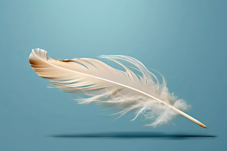 a feather on a blue backgroundの素材