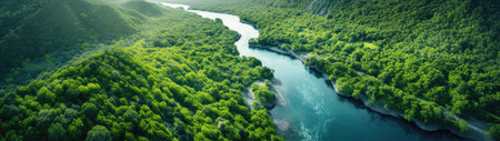 a river running through a forestの素材