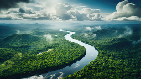 a river running through a forestの素材