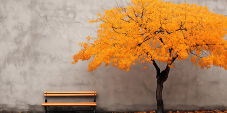 a tree with yellow leaves next to a benchの素材
