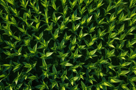 a group of green leavesの素材