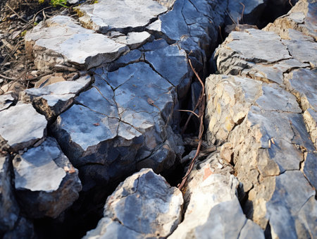 a close up of a crack in a rockの素材