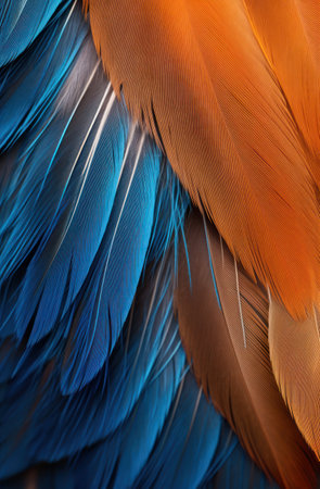 a close up of feathersの素材