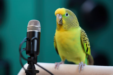 a bird standing on a hand with a microphoneの素材