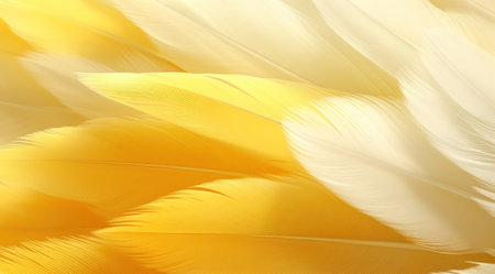 a close up of feathersの素材