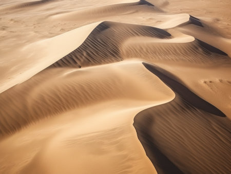 a sand dunes in the desertの素材