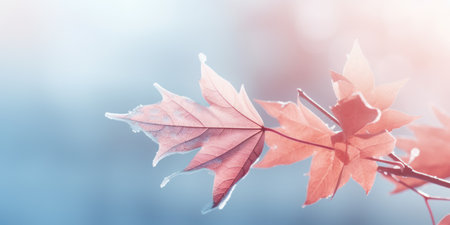 a close up of a leafの素材
