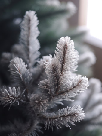 a close up of a tree branchの素材