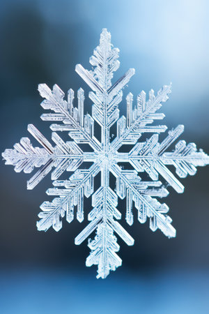 a close up of a snowflakeの素材