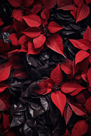 red leaves on a pile of black and red leavesの素材