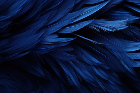 a close up of feathersの素材