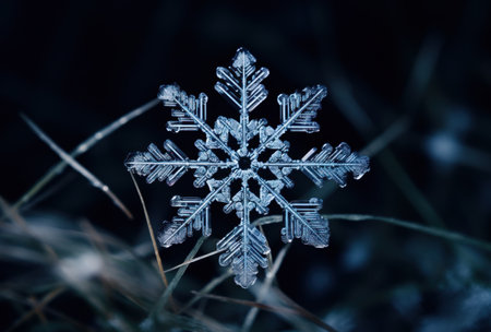 a snowflake on grassの素材