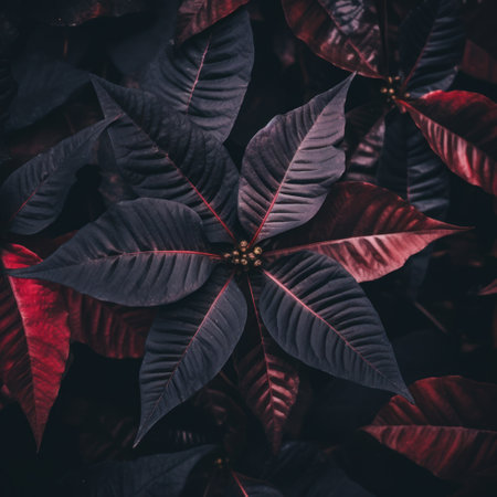 a close up of leavesの素材