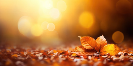 a close up of leavesの素材