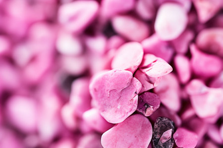 a pile of pink rocksの素材
