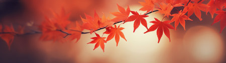 a branch with orange leavesの素材