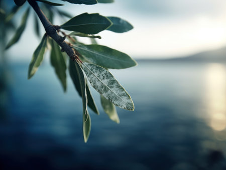 a close up of a leafの素材