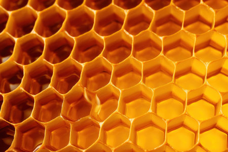 a close up of a honeycombの素材