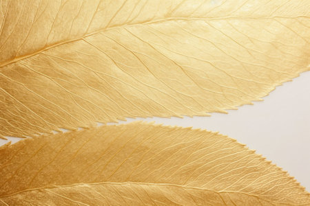 a close up of leavesの素材