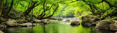 a river with rocks and treesの素材
