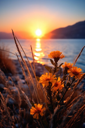 a yellow flowers on a beachの素材