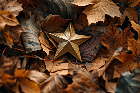 a gold star on a pile of leavesの素材