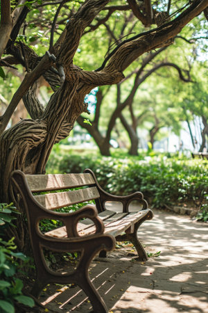 a bench in a parkの素材