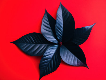 a black leaf on a red backgroundの素材