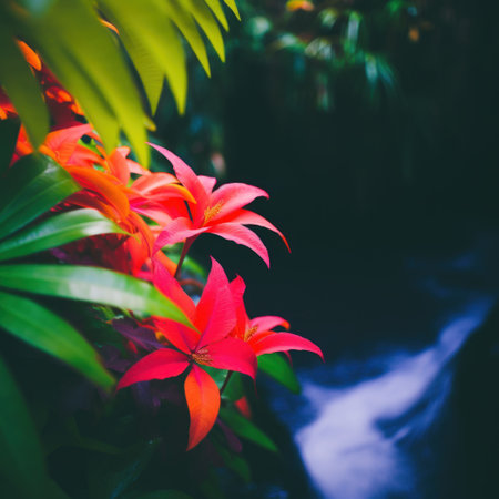 a group of red flowersの素材