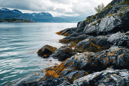 a rocky shore with mountains in the backgroundの素材