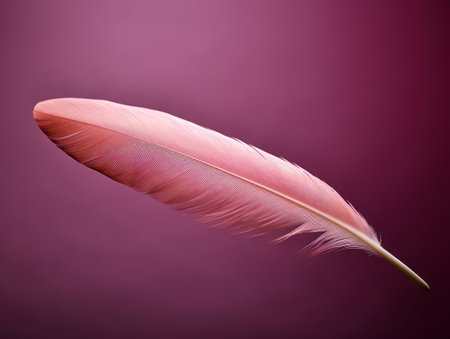 a pink feather on a purple backgroundの素材